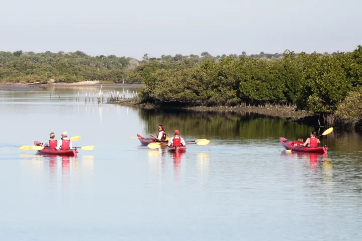 a group of people rowing a boat in a body of water