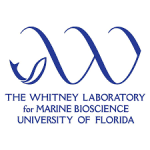 The Whitney Library of Marine Bioscience University of FL