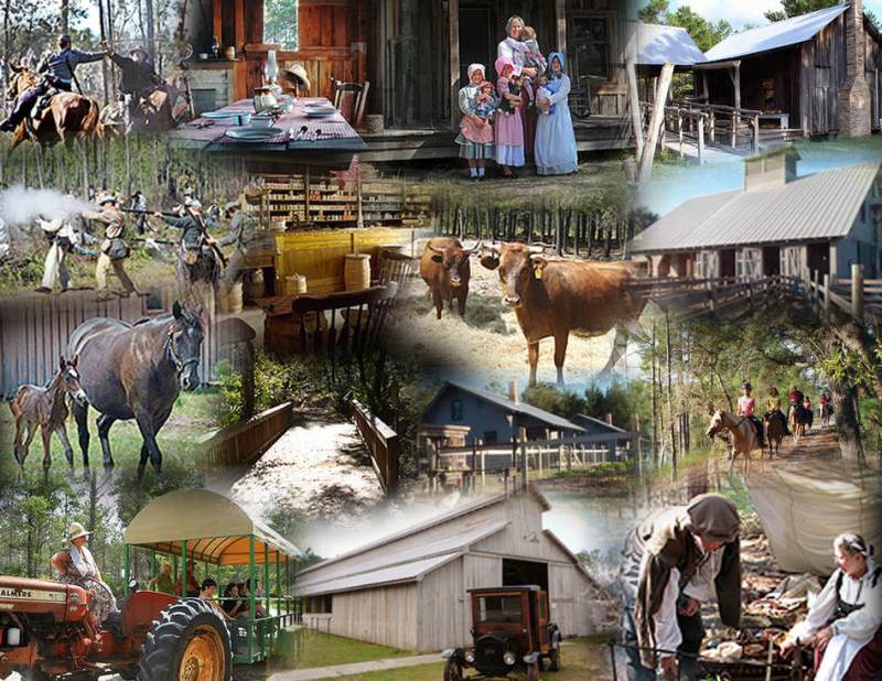 montage-backgroundbestblank-copy_1 Florida Agricultural Museum Collage