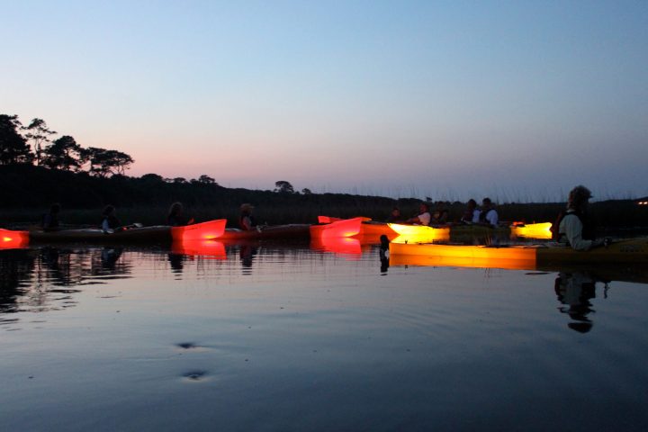kayak tour paddling at sunset through mangrove tidal creeks on matanzas river estuary
