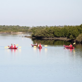 a group of people rowing a boat in a body of water