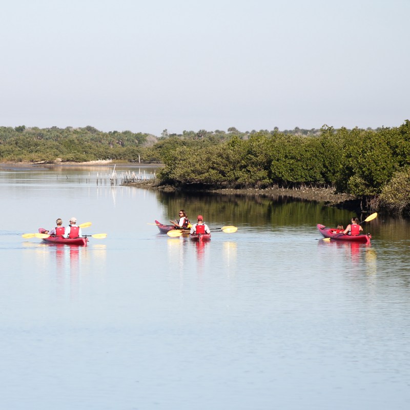 a group of people rowing a boat in a body of water