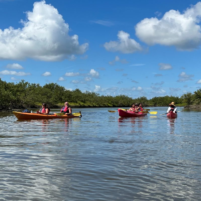 a group of people rowing a boat in a body of water